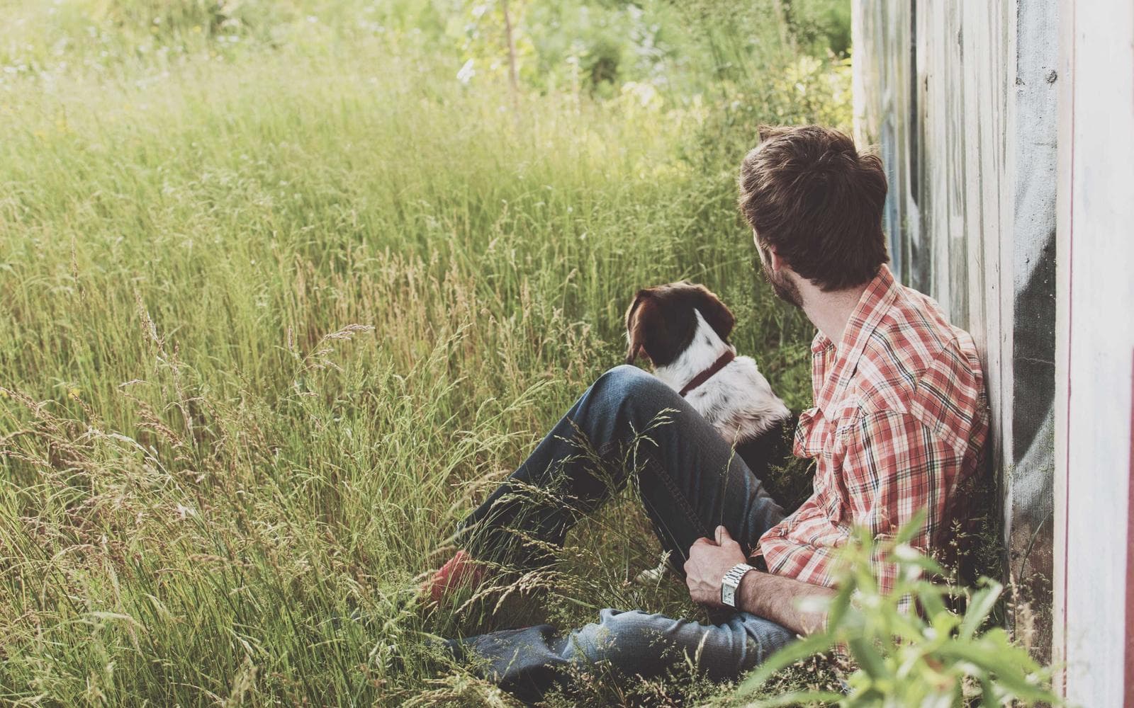 Amanah Axis Bashundhara thumbnail 2