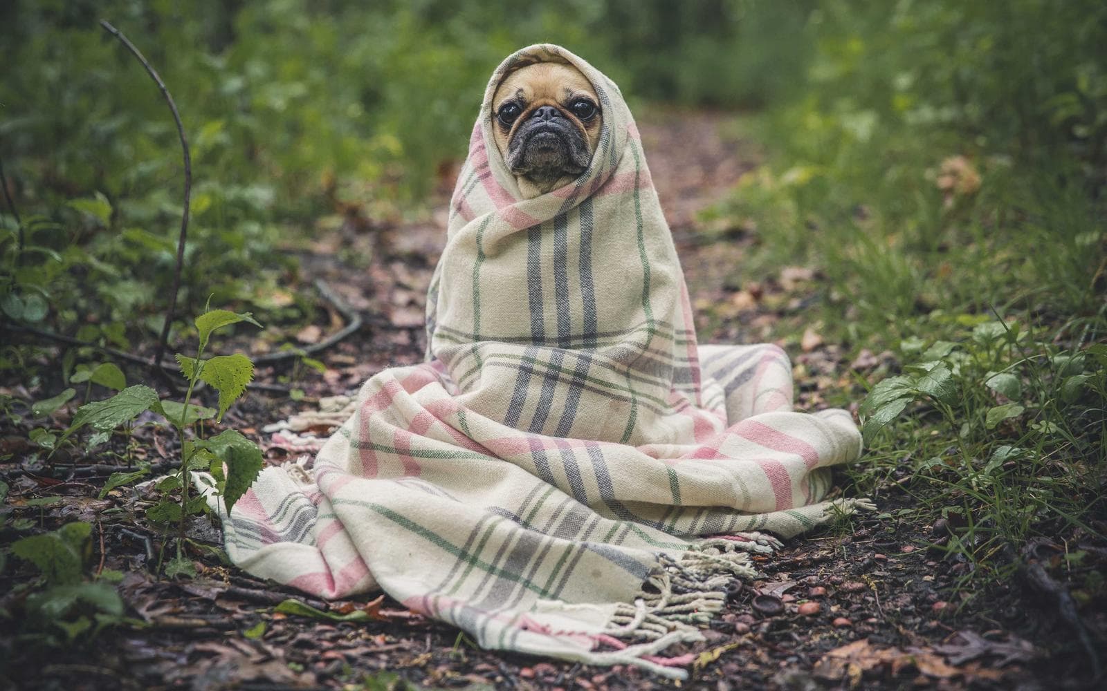 Amanah Bayfront Chattogram thumbnail 2